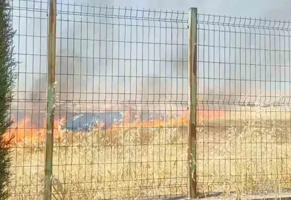 Şanlıurfa’da alevler okul bahçesine dayanmadan durduruldu