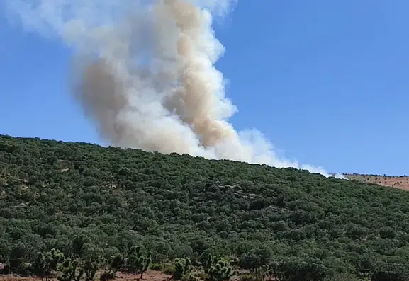 Silvan kırsalındaki ormanlık alanda çıkan yangın ekiplerin müdahalesiyle söndürüldü