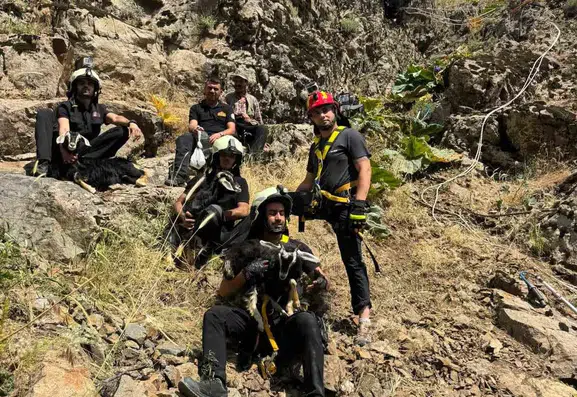 Kulp’ta kayalıklarda mahsur kalan oğlakları itfaiye kurtardı