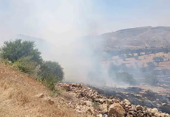 Mardin Yeşilli’de orman yangını başladı