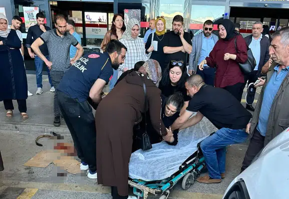 Elazığ otogarında yolcuya köpek saldırısı