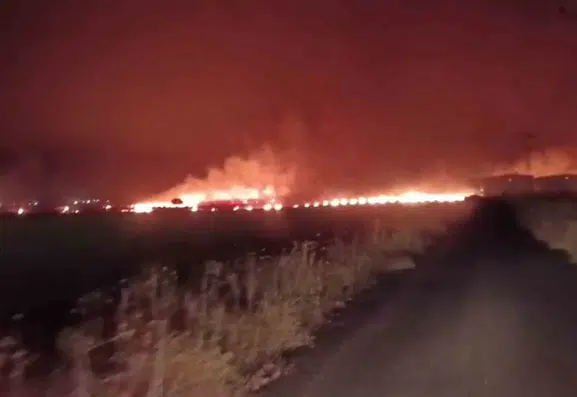 Silopi’de geceyi aydınlatan yangın 300 dönümü yuttu
