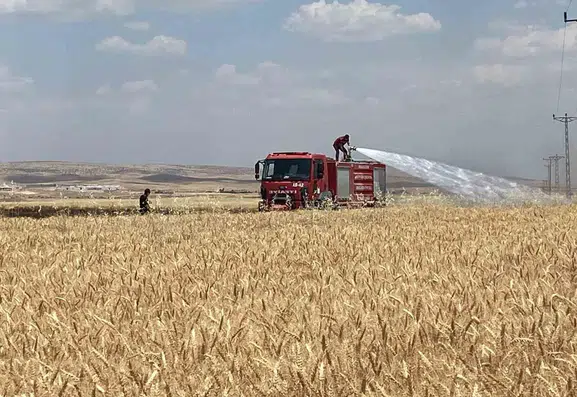 Mardin’de hasat mevsiminde 300 dönüm tarlayı yangın yuttu