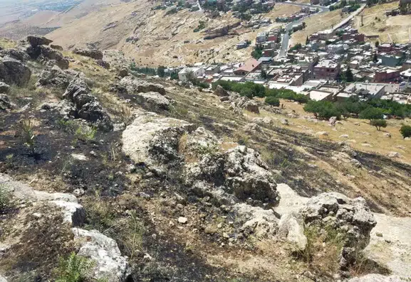 Mardin Yeşilli’de orman yangını korkuttu