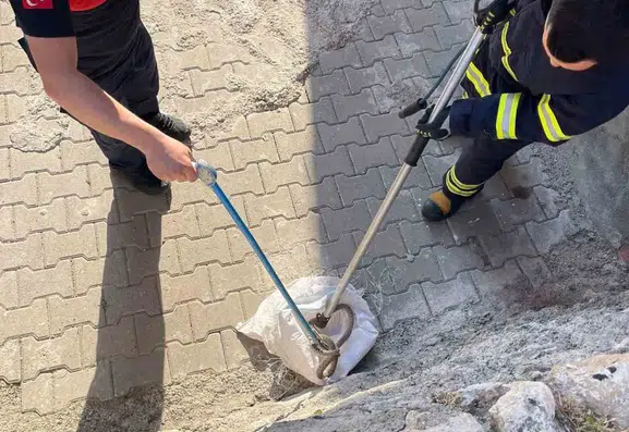 Siirt'te bahçeye giren 1,5 metrelik yılan paniğe neden oldu?