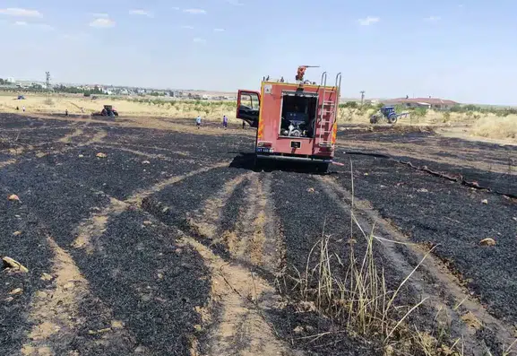 Kızıltepe'de hasat öncesi büyük yangın