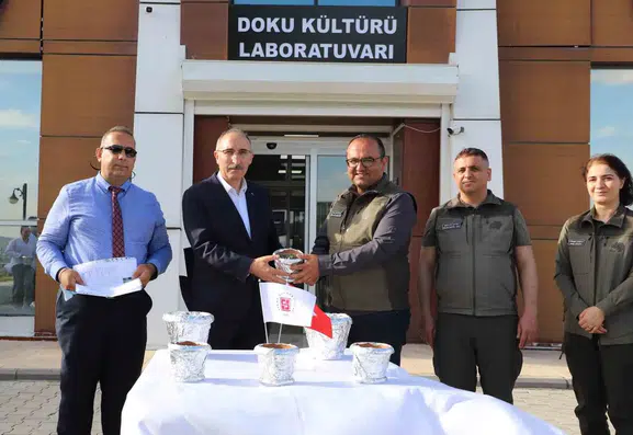 Elazığ’da laboratuvar ortamında yetişen endemik bitkiler doğaya dönüyor