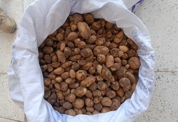 Bingöl doğasına zarar verenlere 4 milyon liranın üzerinde ceza kesildi