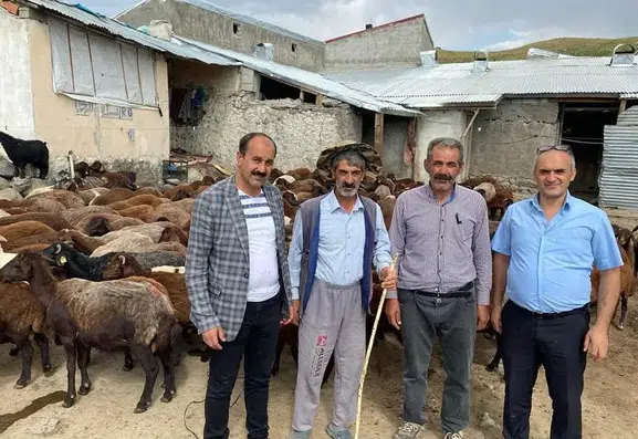 Ağrılı hayvancılara yarı fiyatına süt sağım ve kırkım desteği geldi