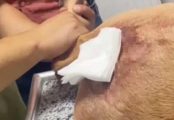 Şırnakta kaçak avcılık yapan kişiye rekor para cezası kesildi