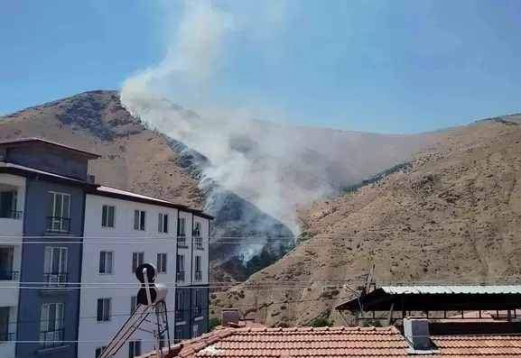 Keban ilçesindeki Nimri Dağı alevlere teslim oldu