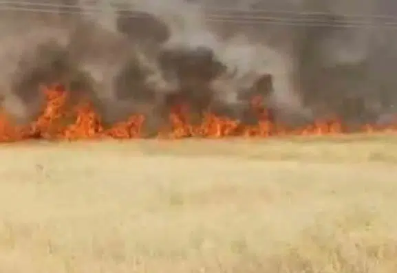 Şanlıurfa Haliliye ilçesinde büyük buğday yangını
