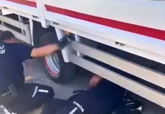 Elazığda kamyonetin tekerine sıkışan yavru kedi kurtarıldı