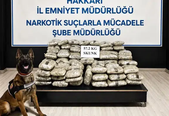 Yüksekova polisinden uyuşturucu operasyonu ile büyük miktarda skunk yakalaması