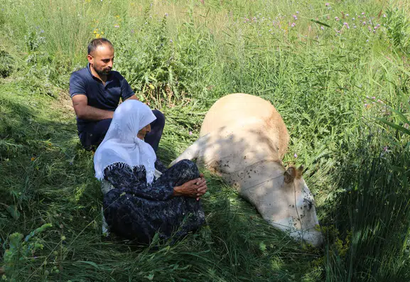 Yüksekova'da tek geçim kaynağını kaybeden aileye yardım eli uzandı