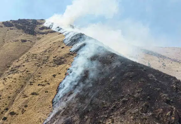Keban ilçesindeki orman yangınına sebep olan bir kişi yakalandı