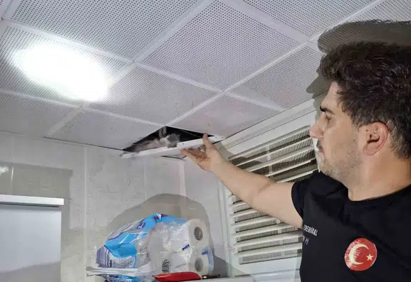 Batmanlıları telaşlandıran güvercinlere itfaiye ekipleri yetişti