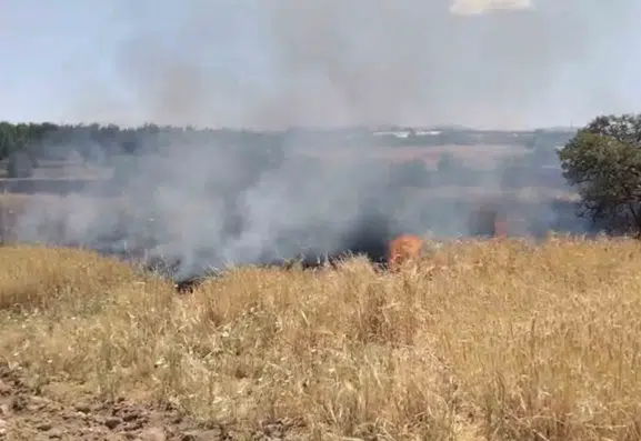 Elazığ Poyraz Köyü yakınlarındaki arazide çıkan yangın kontrol altına alındı