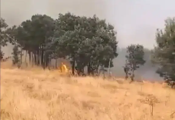 Lice Türeli bölgesindeki örtü yangını yerleşim yerlerini tehdit ediyor