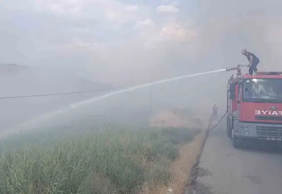 Siirt Üniversitesinin yanındaki arazide çıkan yangın yüz dönümü küle çevirdi