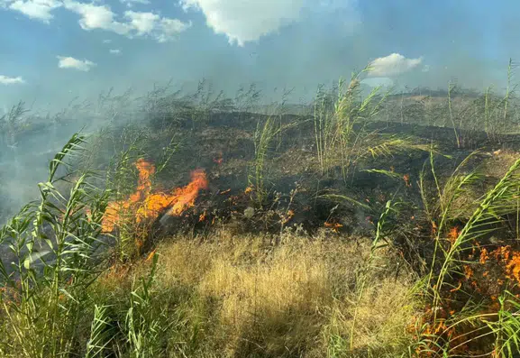 Silopi'deki yangın ekiplerin müdahalesiyle kontrol altına alındı