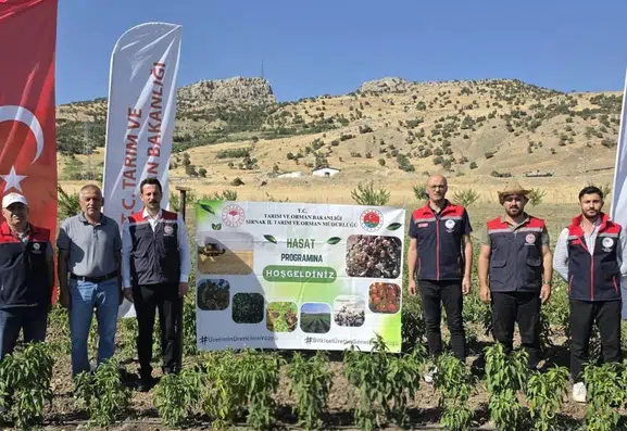 Şırnaklı çiftçiler atıl tarım arazilerini yeniden verimli hale getiriyor