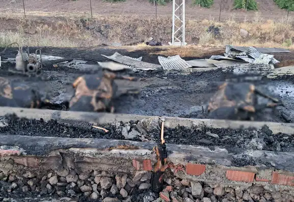 Elazığ'da gebe 3 inek ahır yangınında kül oldu