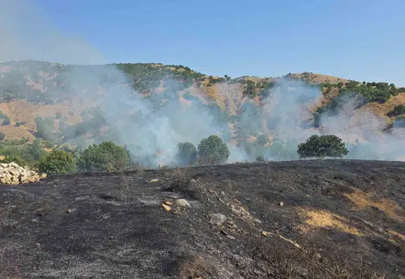 Genç'teki kırsal yangın ekiplerin müdahalesiyle kontrol altına alındı
