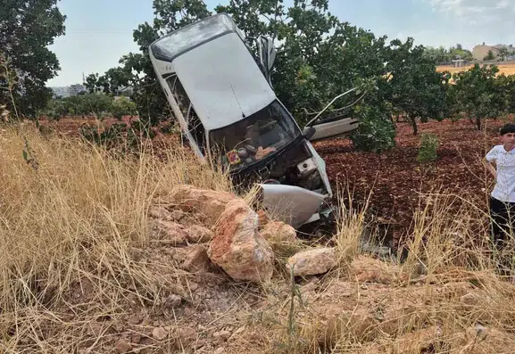 Şanlıurfa Halfeti yolunda yoldan çıkan otomobil fıstık ağacına takılı kaldı