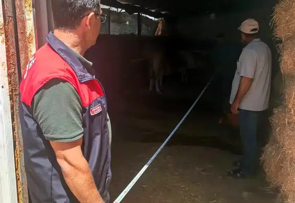 Ağın ilçesindeki hayvan çiftlikleri mercek altına alındı