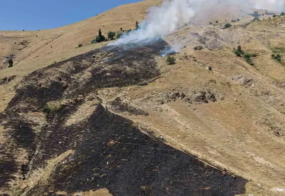 Bitlis kırsalındaki örtü yangını köylülerin ve ekiplerin çabasıyla söndürüldü