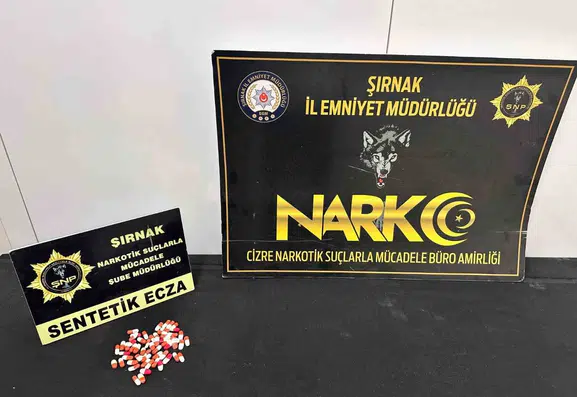 Şırnak genelindeki geniş kapsamlı operasyonlarda 21 kişi gözaltına alındı