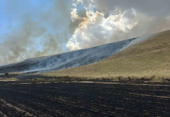 Ahlat ilçesindeki tarlalarda çıkan yangın büyük maddi hasara yol açtı