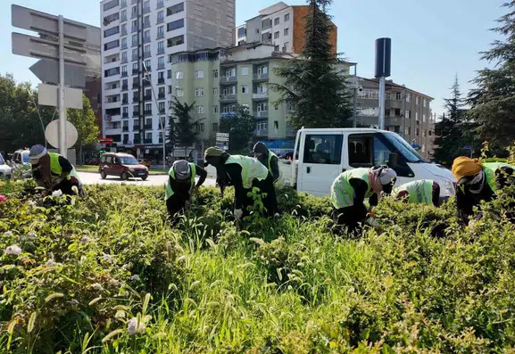 Harput Yolu ve Elazığ Parkları Yeni Bir Görünüme Kavuştu