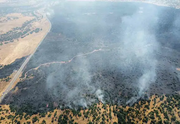 Elazığ Karakoçan'da orman yangını paniği