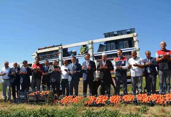 Bitlis domates üretiminde bölgenin lideri Türkiye'nin ise yedinci sırasında