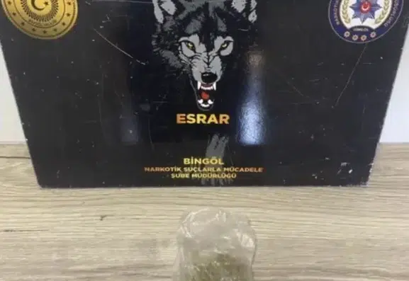 Bingöl Emniyetinden geniş çaplı operasyon 43 kişi yakalandı