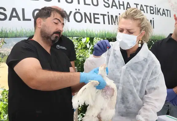 Elazığ'da kuş gribi salgınına karşı kapsamlı saha tatbikatı yapıldı