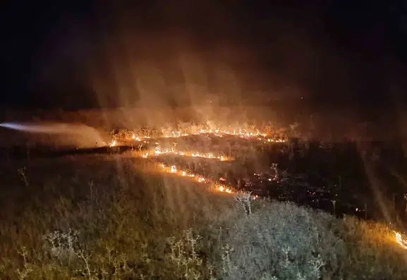 Van Tuşba'da örtü yangını paniği