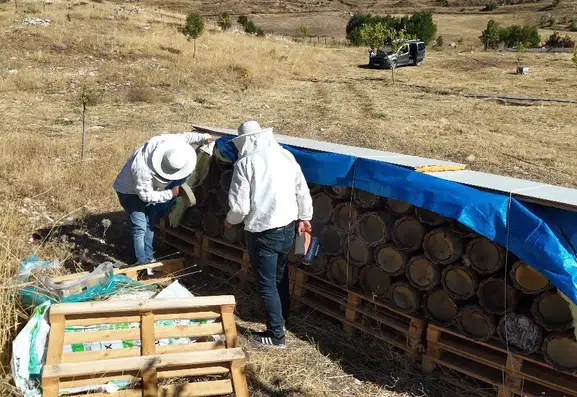 Tunceli’de yüzyıllık arıcılık geleneği yaşatılıyor