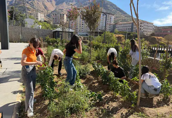 Sason Halk Kütüphanesi bahçesinde öğrenciler kendi sebzelerini yetiştirip hasat etti