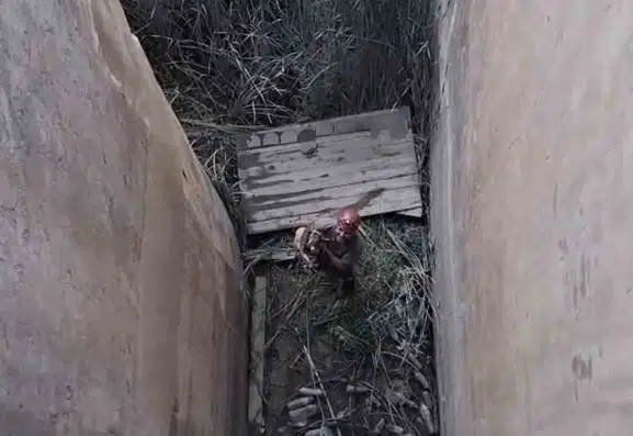 Elazığ'da mahsur kalan dağ keçisi için nefes kesen kurtarma operasyonu
