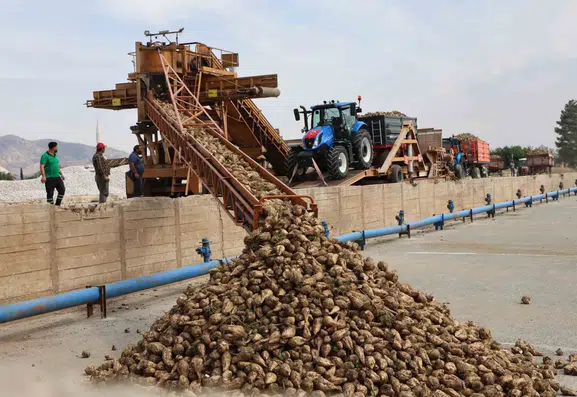 Elazığ Şeker Fabrikası 71. kampanya dönemini törenle başlattı