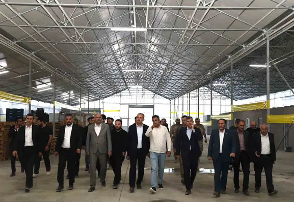 Ağrı Valisi Bozkurt Diyadin Jeotermal Sera Bölgesinde İncelemeler Yaptı