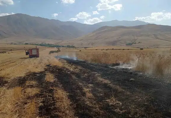 Gevaş ilçesinde çıkan örtü yangını ekiplerin müdahalesiyle kontrol altına alındı
