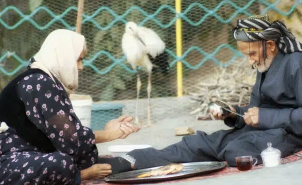 Kürt belgeseline ABD’de büyük ödül: “Singing Wings” zirvede