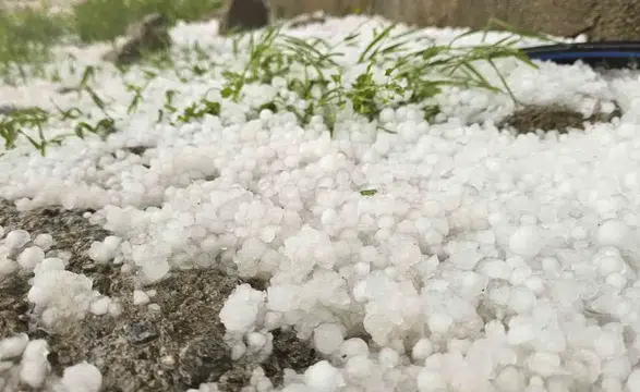 Muş Hasköy’de aniden bastıran dolu hayatı durdurdu