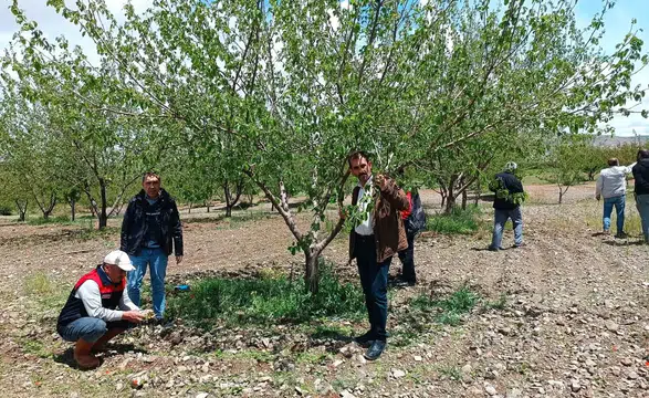 Elazığ’da dolu yağışı bahçeleri vurdu