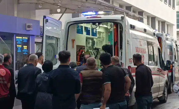 Batman'da merada yakalandığı yıldırım çobanı hastanelik etti