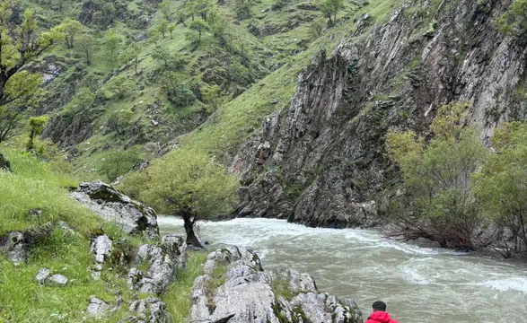 Muş’ta çaya düşen Gülsima Yıldız için yürütülen arama çalışmaları sonuçsuz kaldı